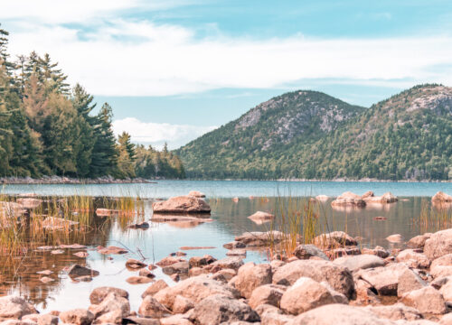 Bar Harbor