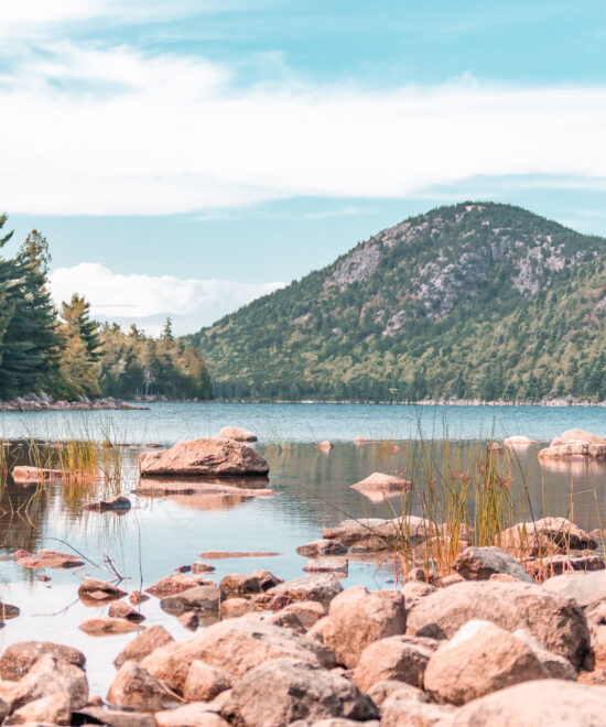 Bar Harbor
